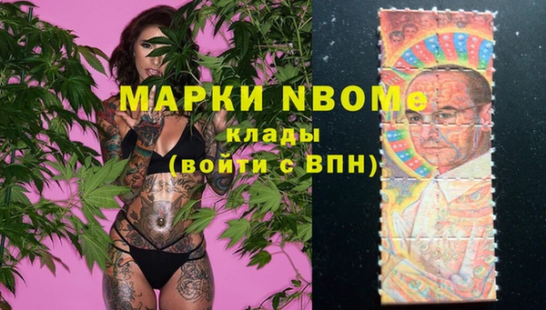 твердый Абаза