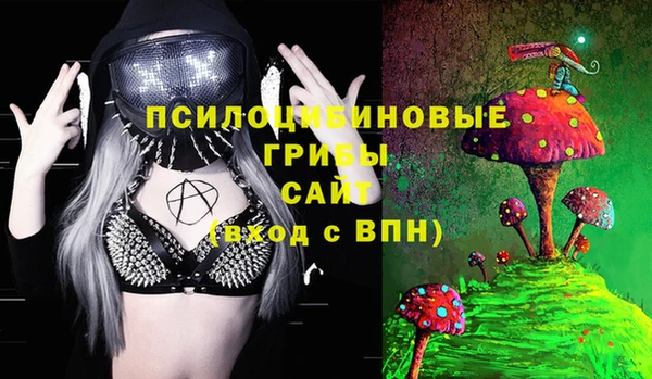 твердый Абаза