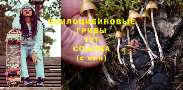 твердый Абаза