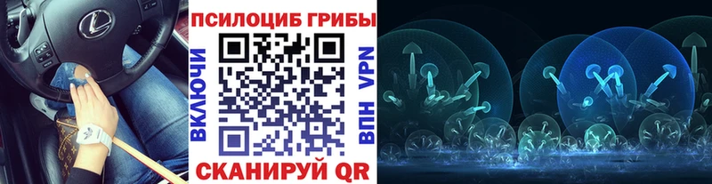 где купить наркотик  Шумерля  Галлюциногенные грибы прущие грибы 